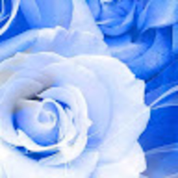 Meet your Posher, Audrey - Picture 1 of 1